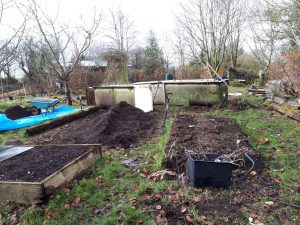 Current raised beds